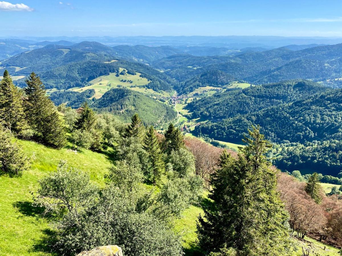 Zur Bierliebe - Mit Toller Aussicht Im Herzen Des Schwarzwaldes Apartment Hornberg