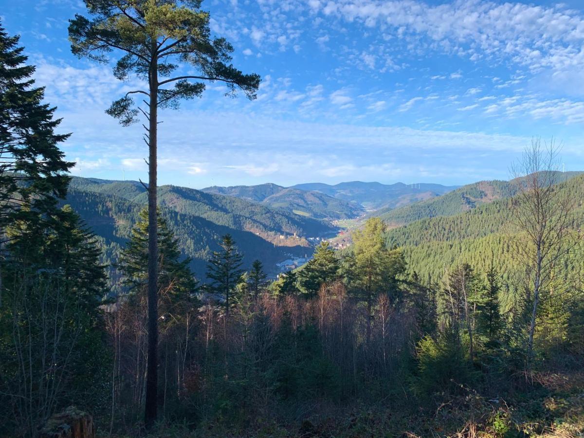 Zur Bierliebe - Mit Toller Aussicht Im Herzen Des Schwarzwaldes