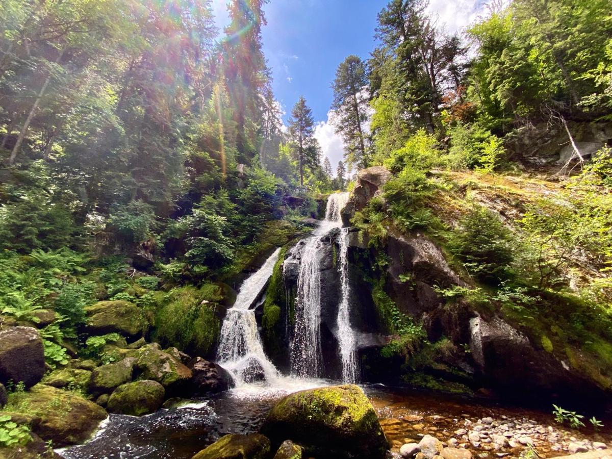 Apartment Zur Bierliebe - Mit Toller Aussicht Im Herzen Des Schwarzwaldes Hornberg